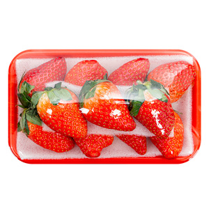 Hot bán dùng một lần Nhựa PP/Pet <span class=keywords><strong>Tray</strong></span> cho bao bì trái cây tươi thịt thực phẩm - Product Image 6