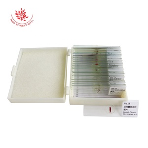 Preparación de Portaobjetos de Microscopio para Parásitos Médicos, 25 Tipos de Especímenes de Biología de Parásitos, Portaobjetos de Parásitos Reales Transparentes - Product Image 3