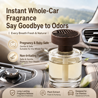 Diffuseur d'air frais pour voiture Relaxlines, moderne, écologique, personnalisé, flacon en verre de 120 ml, parfum de luxe, logo personnalisé
