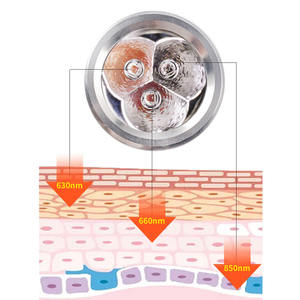 Caballo Luz roja Instrumento de tratamiento <span class=keywords><strong>veterinario</strong></span> Luz azul Infrarrojo cercano Lámpara de tratamiento del dolor Antorcha corporal - Product Image 4