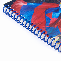 Lentikuläres Spiralnotizbuch A5 mit individuellem 3D-Wechselcover für Schule, Büro, Geschäftsförderung, Geschenk für Studenten
