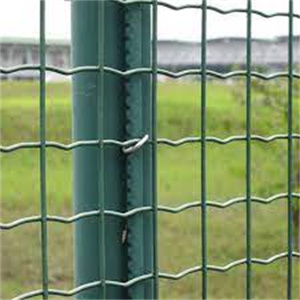 Hàn hàng rào/<span class=keywords><strong>PVC</strong></span> tráng Hà Lan hàng rào/Hàng rào dây lưới cho trang trại - Product Image 5