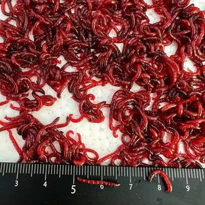 Venda Direta Da Fábrica Bloodworms Congelados Premium Alimento Seco para Animais Aquáticos - Product Image 1