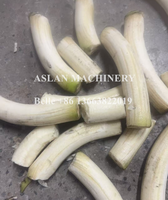 Peau de banane verte de capacité élevée enlevant l'éplucheur de banane de plantain de machine d'épluchage de banane de machine