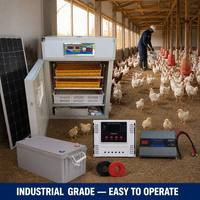 Incubateur automatique solaire personnalisé pour 176 œufs, fabriqué sur mesure