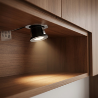 Mini spot LED rond en aluminium DC10V 1,5W, Ra95, haute luminosité, moderne, pour armoire, étagère, comptoir