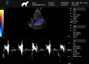 EUR VET Scanner à ultrasons numérique <span class=keywords><strong>3D</strong></span> complet, Doppler couleur numérique, équipement vétérinaire, système d'échographie vétérinaire portable - Product Image 5