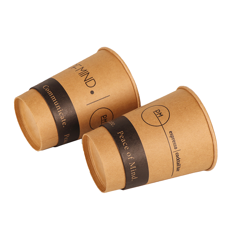 Food Grade Disposable Biodegradable Double Wall Thermal Insulation Heat Resistant Camping Custom Design Paper Cup