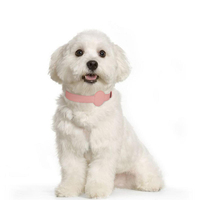 Collier pour animaux de compagnie en PU avec logo personnalisé, compatible avec AirTag, anti-perte, suivi GPS, collier ajustable pour chats et chiens, toutes saisons
