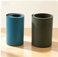 TEBAK Plaque de guidage souple en Polytétrafluoroéthylène (PTFE) bleu-vert, résistante à l'usure, pour machine-outil, 0,8-3,2 mm
