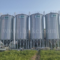 Silo in acciaio da 500ton specializzato per lo stoccaggio di grano 200ton-1000ton magazzino di mais 1000ton serbatoio di stoccaggio per mangimi Silo contenitori per cereali