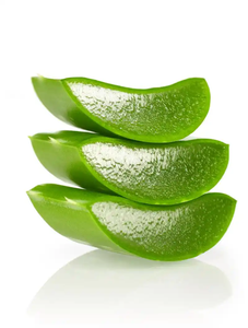 천연 알로에 베라 추출물 건강 보충제 알로에 에모딘 분말 98% 알로에 에모딘 저렴한 가격 - Product Image 5