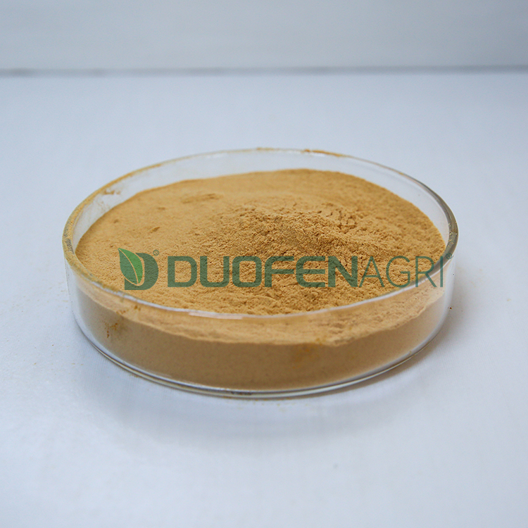 Wholesale Organic Seaweed Fertilizer Powder OEM Supplier image 6