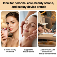 Brosse nettoyante professionnelle double tête pour le visage et appareil de beauté avec lumière 880 nm et raffermissement EMS pour usage quotidien
