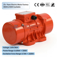 Industrieller MVE Vibrationsmotor 0,37kW 0,45kW 220V 380V Einstellbare Vibrationskraft für Beton-Siebförderer Elektromotor