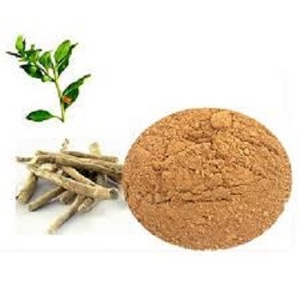 Extracto de Raíz de Ashwagandha Orgánico en Polvo, 5% de Withanólidos, Cultivo Natural, Probado por HPLC, Grado Médico - Product Image 1