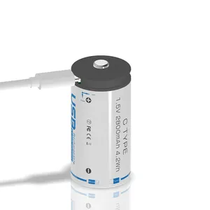 2024 công nghệ mới hàng đầu bán C Kích thước 1.5V Micro USB Type-C sạc lithium có thể sạc lại ion Li-ion pin