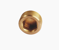 1/8 1/4 3/8 1/2 3/4 1 pouce bouchon à vis conique pour eau air carburant Pipeline Pack Bsp bouchon en laiton 1/8 NPT joint affleurant bouchon de tuyau en laiton
