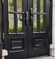 Ventanas de calidad superior Marco negro de acero Puerta abatible de doble vidrio Puerta francesa de acero frontal con rejilla