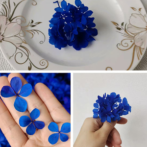 Decoración para el Hogar, Flor <span class=keywords><strong>de</strong></span> <span class=keywords><strong>Hortensia</strong></span> Preservada, 100g, Grado A, <span class=keywords><strong>Hortensia</strong></span> Atlantis, <span class=keywords><strong>Hortensia</strong></span> Preservada en Venta, Plantas <span class=keywords><strong>de</strong></span> Hortensias - Product Image 6