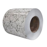 Bobine d'acier galvanisé prépeint PGI pour toiture, bardage mural et construction de bâtiments préfabriqués