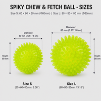 Balle à mâcher interactive classique moderne en TPR à picots pour chien, jouet de nettoyage dentaire, 2 tailles disponibles