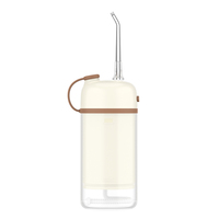 OEM ODM Pliable Électrique Sans Fil Jet Pick Portable Dentaire Flosser Irrigateur pour Dents Bretelles Usage Domestique Batterie en Plastique