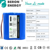 Paket Baterai LiFePO4 12Ah 32700 Baterai Lithium Isi Ulang dengan BMS untuk Perangkat Pemantauan Ternak OEM Kustom