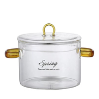 Vente directe usine – Marmites de cuisine transparentes à double anse pour cuisson directe sur feu