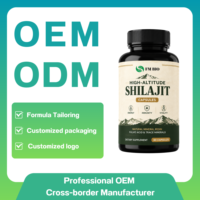 Capsules végétaliennes de Shilajit de l'Himalaya avec acide fulvique, soutien énergétique et immunitaire, OEM ODM Marque privée 60/90/120 unités