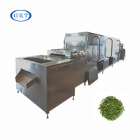 Industriële automatische microgolfbanddroogmachine, continue banddroger, voedseldroger, sterilisatiemachine