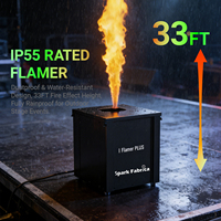 I Flamer Plus SF-90 Projecteur de flamme électrique extérieur à double allumage en acier inoxydable, hauteur d'effet de 8 à 10 mètres, contrôle DMX pour
