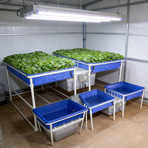 Poly Food Grade 1000l grande contenitore di <span class=keywords><strong>plastica</strong></span> vasche quadrate in <span class=keywords><strong>plastica</strong></span> serbatoio d'acqua acquacoltura acquacoltura - Product Image 5