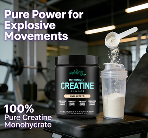 ผู้ผลิตฉลากส่วนตัว ผลิตภัณฑ์เสริมอาหารออร์แกนิกจากธรรมชาติ ช่วยเสริมสร้างความแข็งแรงของกล้ามเนื้อและฟื้นฟูกล้ามเนื้อ ผงครีเอทีนบริสุทธิ์แบบไมโครไนซ์ - Product Image 3