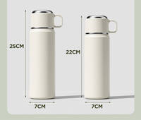 Vaso Portátil de Acero Inoxidable 316 de 450/550 ml para Estudiantes y Adultos, Botella de Agua Acrílica para Viajes al Aire Libre