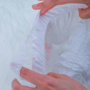 <strong>Disposable</strong> Sanitary Napkins <strong>Maternity</strong> Pads Biodegradable Menstrual Period <strong>Panties</strong> - Product Image 4