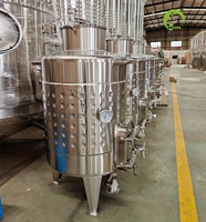 Cuve de fermentation de vin domestique compacte de 300 L en acier inoxydable avec chemise de refroidissement pour vin de raisin rouge