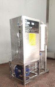Générateur d'ozone personnalisé de 50 g/h pour la désinfection de l'eau d'irrigation agricole du <span class=keywords><strong>sol</strong></span> - Product Image 5