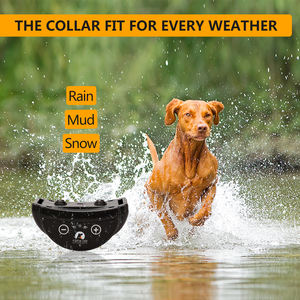 طوق تدريب الكلاب الإلكتروني من باي بايتك الأكثر مبيعًا، بدون صدمات كهربائية، يمنع النباح - Product Image 5