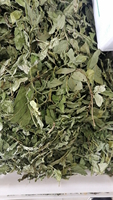 Herbe séchée brute de Chine, feuilles de menthe sauvage à vendre