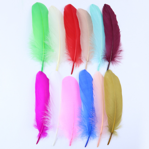 Vente en gros DIY Chapeaux de carnaval Plumes d'oie Décoration Plumes pour fête Enfant Vêtements <span class=keywords><strong>Accessoires</strong></span> Plumes blanches Vente <span class=keywords><strong>pas</strong></span> <span class=keywords><strong>cher</strong></span> - Product Image 2