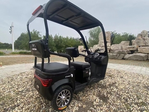 Nieuwe Bajaj E Riksja Volwassen Mini Bus <span class=keywords><strong>3</strong></span> Wiel Driewieler Ouderen Gebruik Kleine Elektrische Motorfiets Te Koop Van Qs Fabriek - Product Image 3
