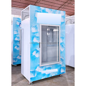 Cubo de almacenamiento de hielo de una sola puerta sólida para exteriores, contenedor de almacenamiento de hielo seco, compresor Secop, congelador - Product Image 2