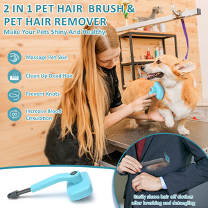 Cepillo Limpiador de Pelusas con Botón de Liberación para Eliminar Pelo de Gato - Product Image 3