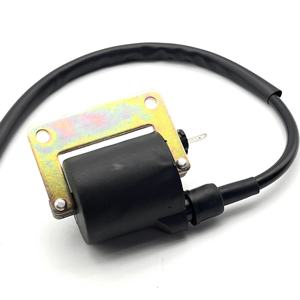 Bobina di Accensione per Moto per <span class=keywords><strong>Piaggio</strong></span> Hexagon LX Liberty Sfera RST Skipper <span class=keywords><strong>Typhoon</strong></span> <span class=keywords><strong>125</strong></span> 150 per Vespa ET4 <span class=keywords><strong>125</strong></span> 4T - Product Image 5