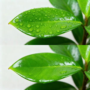 Adjuvante de Pulverização de Silicone Agrícola Trisiloxano Etoxilado Agente Químico Auxiliar 99% Pureza - Product Image 2