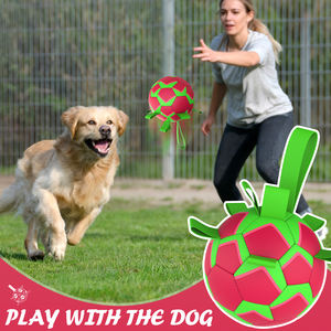 KINYU 2025 sıcak satış su geçirmez yüzer PU çevre dostu köpek topu katı desen havuz su oyun Adventures maceraları Pet futbol - Product Image 2