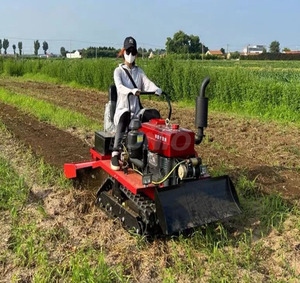 Micro-motoculteur rotatif à chenilles en promotion, 25 CV, pour travaux de drainage et d'irrigation, 35 CV, pour vergers - Product Image 6