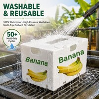 Boîte à bananes en plastique ondulé PP personnalisée en usine, caisse d'expédition réutilisable pour produits frais, emballage ventilé pour fruits