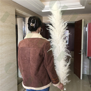 V-1378 <span class=keywords><strong>Erba</strong></span> <span class=keywords><strong>della</strong></span> <span class=keywords><strong>Pampa</strong></span> Naturale Essiccata, Grande Canna Decorativa per Interni, Vendita all'Ingrosso - Product Image 2